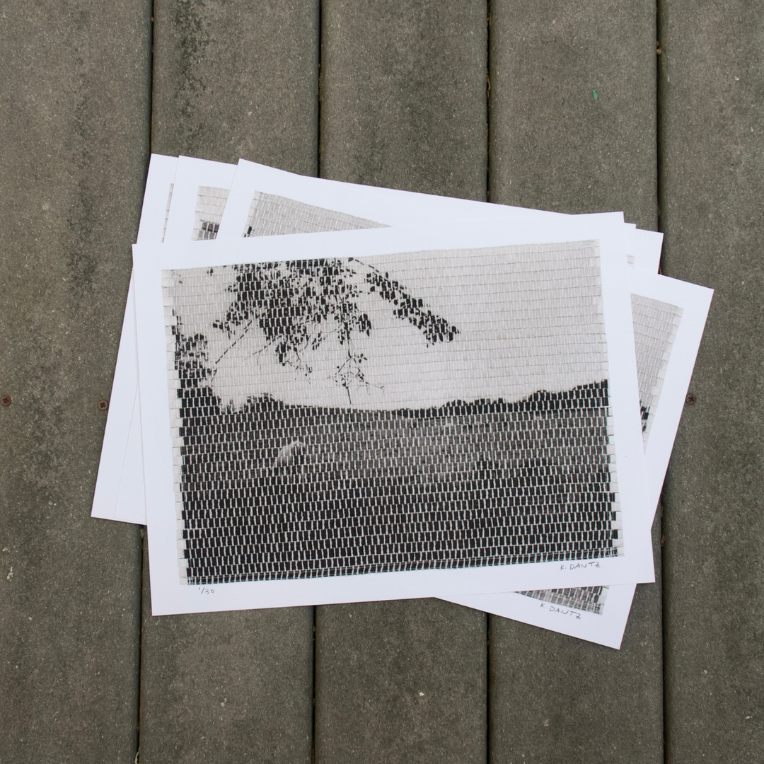 Grazing No. 1 Giclée Art Print