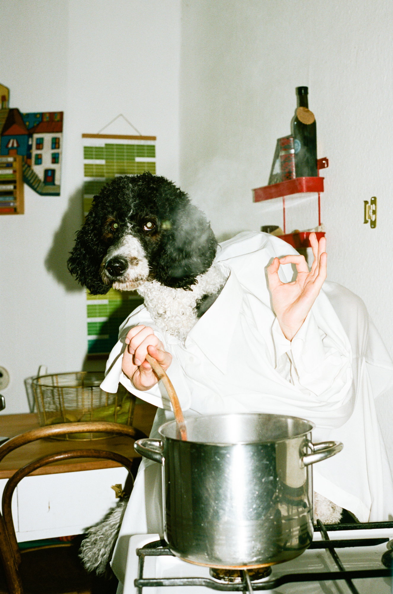 It’s time for Daniel Gebhart de Koekkoek’s tail-wagging annual calendar reveal