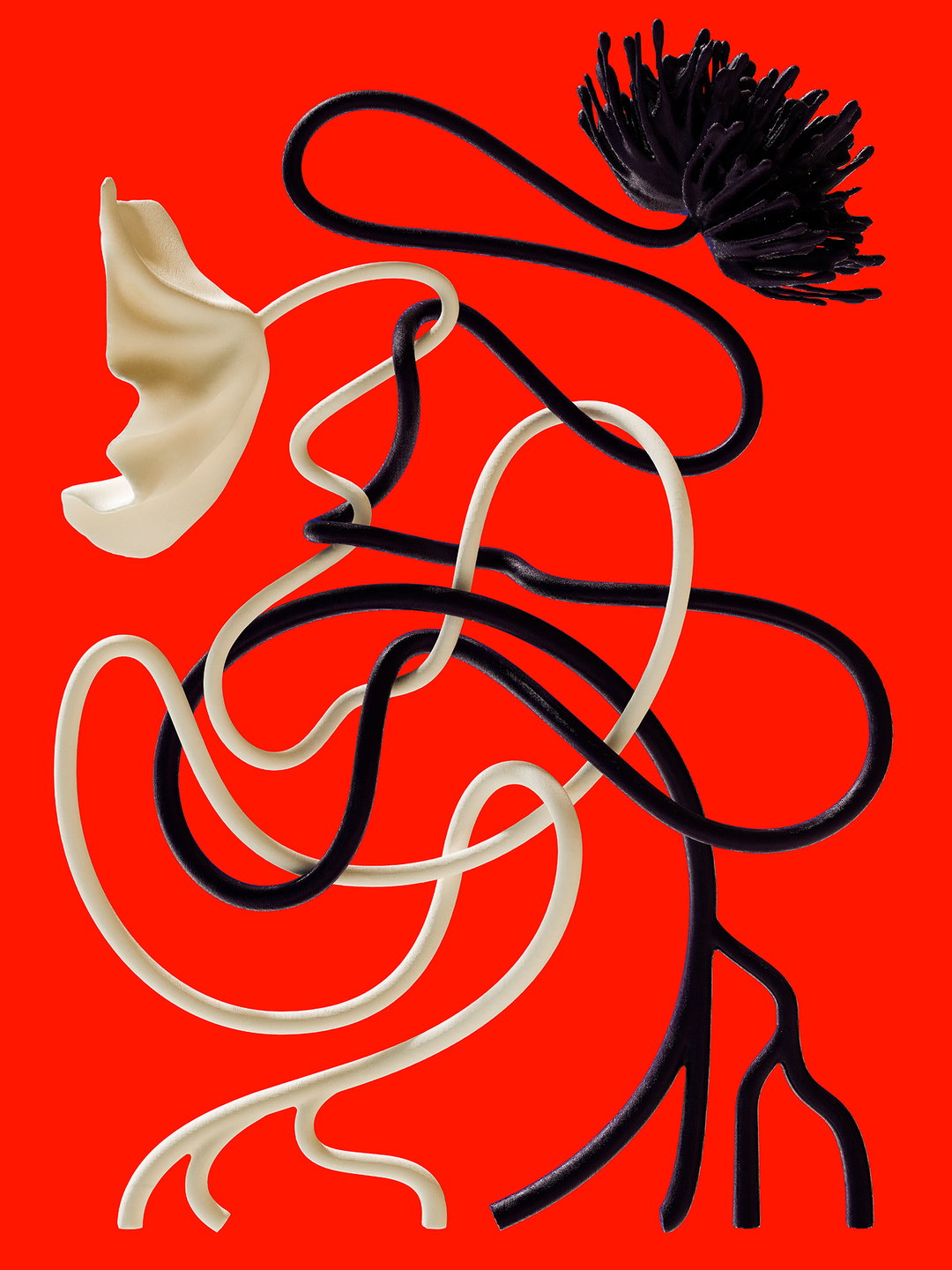 Khyati Trehan_Room50.jpg
