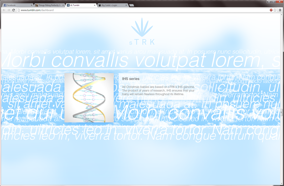 Kim-Laughton-Christmas 2.0 mockup-2013.png