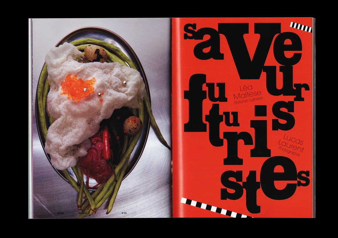 Marion-Denoual-revue_maison-graphic-design-itsnicethat-04
