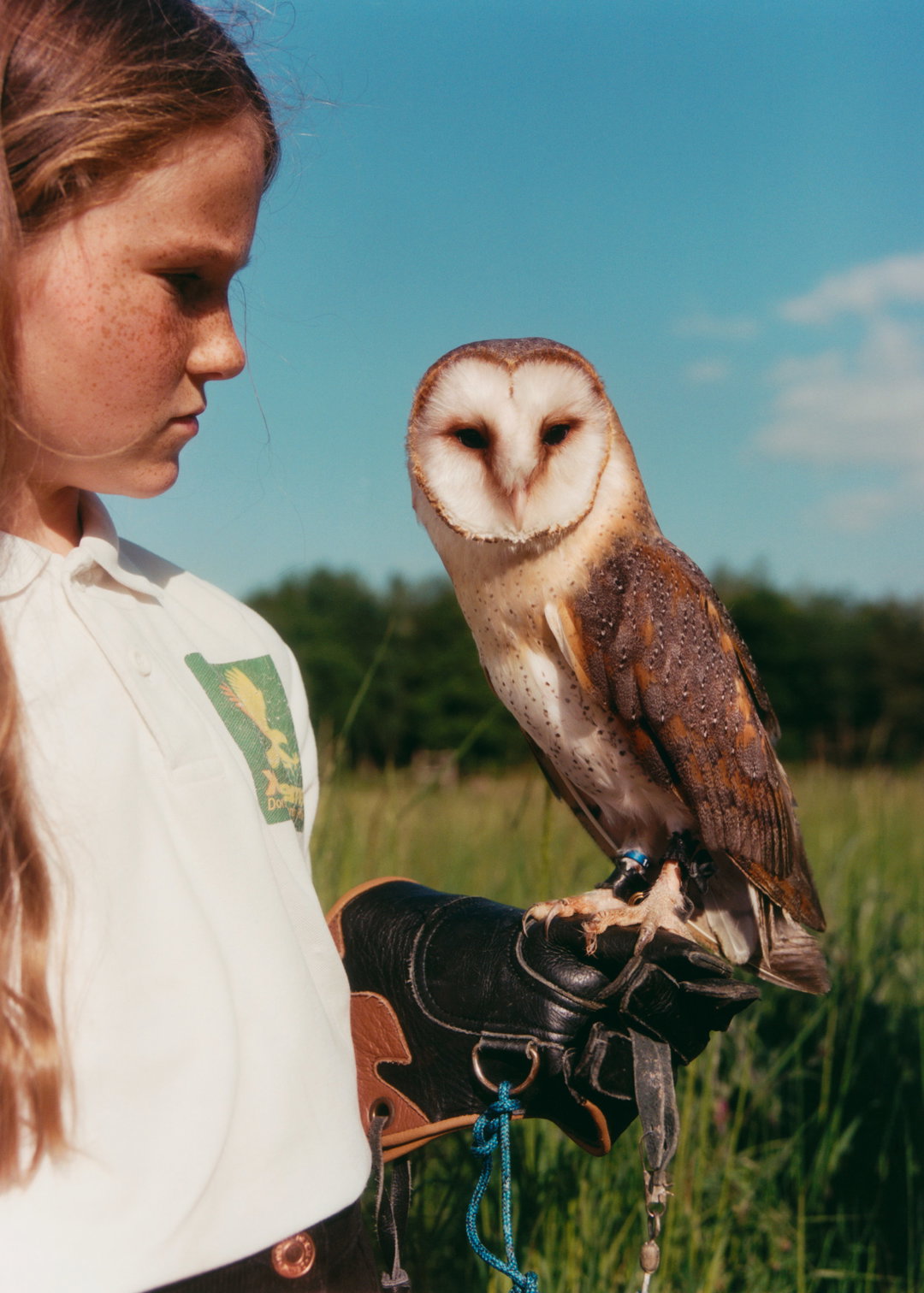 lauren-maccabee-young-falconers-pho-itsnicethat10