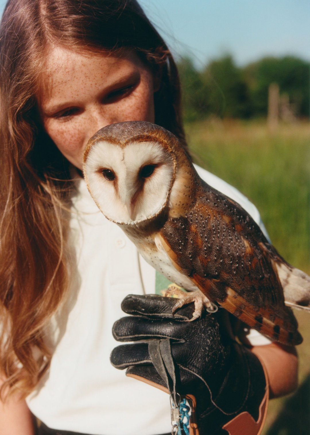 lauren-maccabee-young-falconers-pho-itsnicethat11