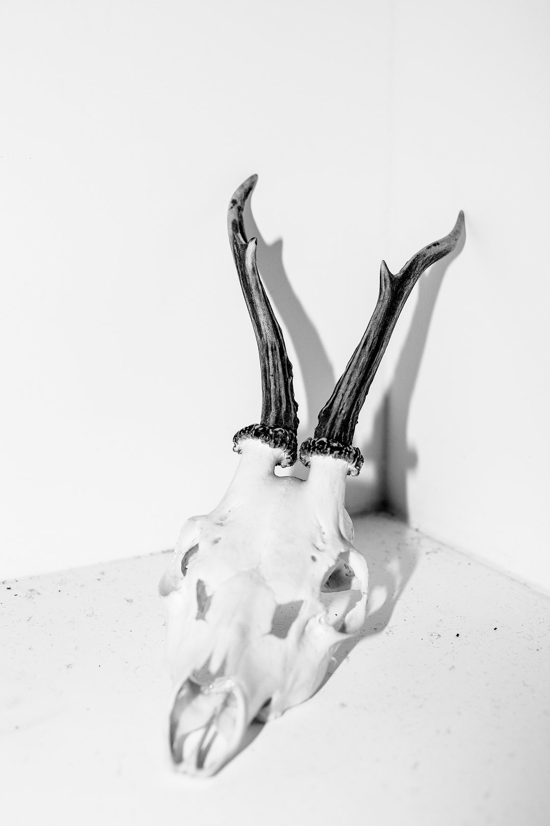Laia Abril_foam paul huf 2020_photography_itsnicethat_Shrinky Recipe 2019 On Rape c Courtesy Laia Abril and Galerie Les filles du calvaire.jpg