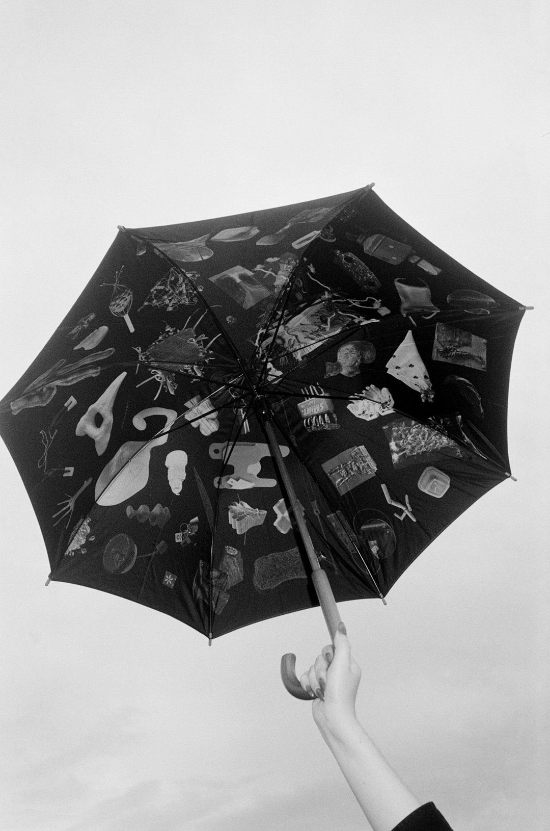 Late Works_ Preparations i-ii Umbrella.jpg