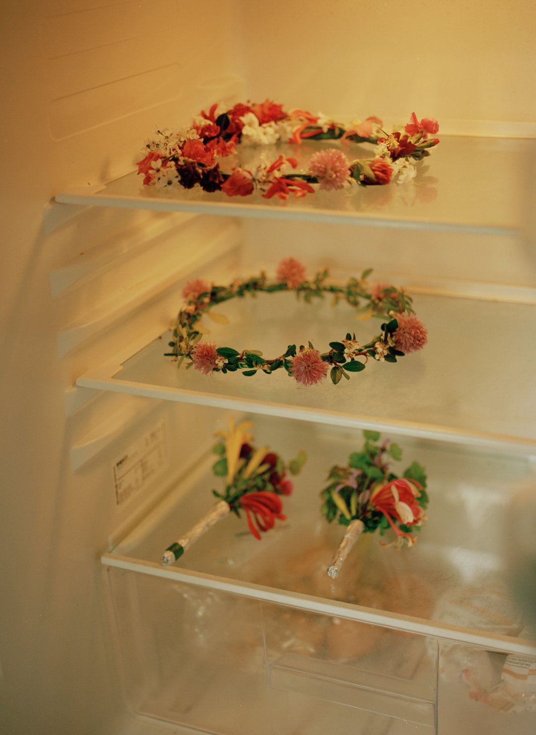 lauren-maccabee-garland-day-pho-itsnicethat07