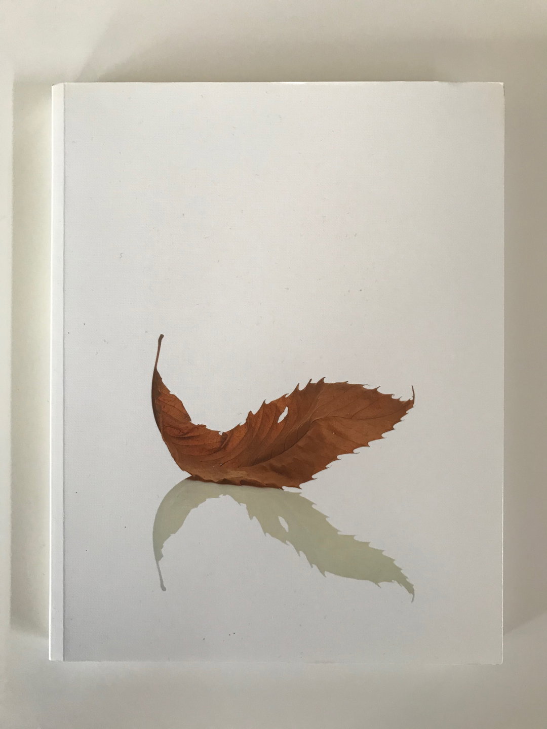 Alistairhudson-leaf-25