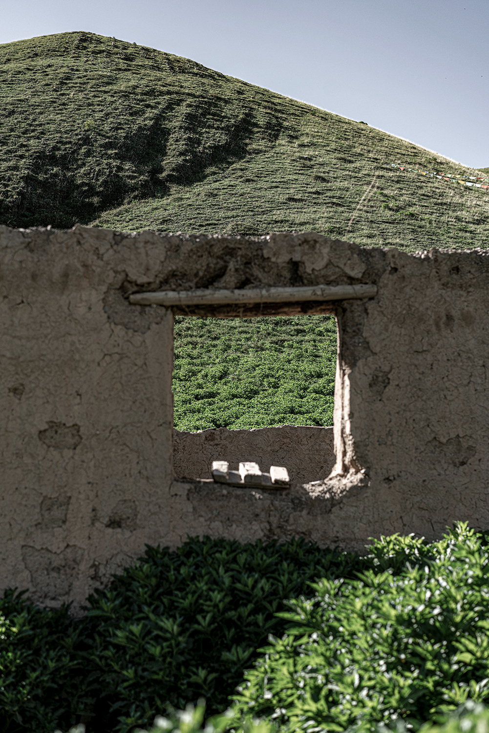 Liling Cui abandoned_house.jpg