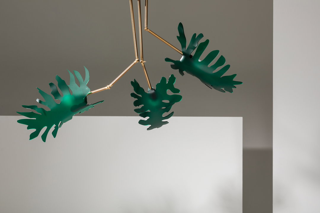 Local-Heroes-ReubenParis-Urpflanze-itsnicethat