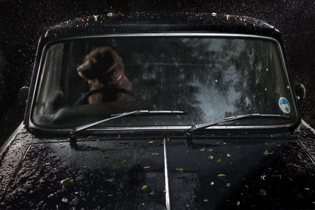 martin-usborne-the-silence-of-dogs-in-cars-photography-itsnicethat-09.jpg