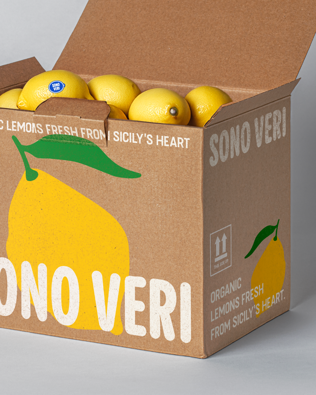Ludmila-Zurdo-Graphic-Design-Discover-itsnicethat-4.png
