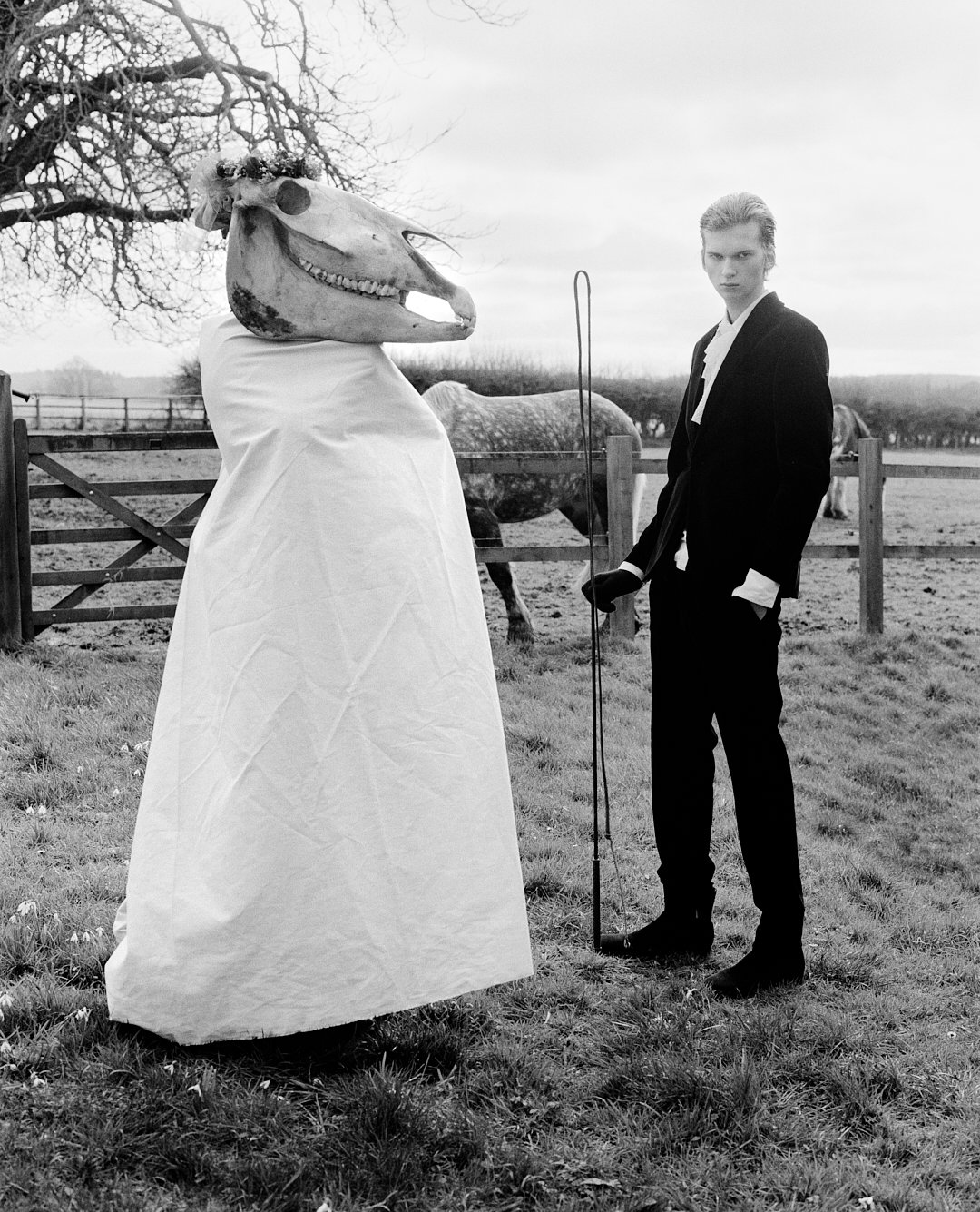 MARI_LWYD.jpg