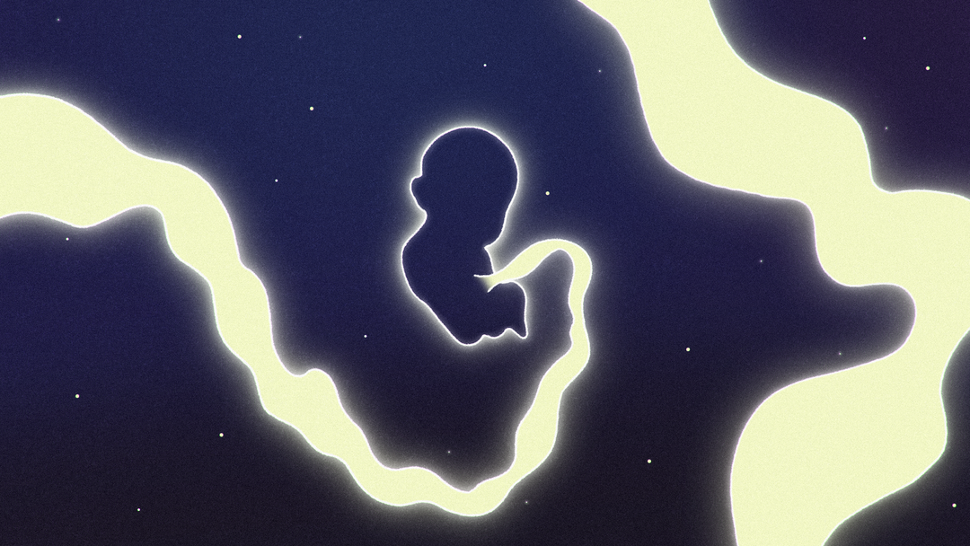 david-wilson-buck-ani-film-itsnicethat06