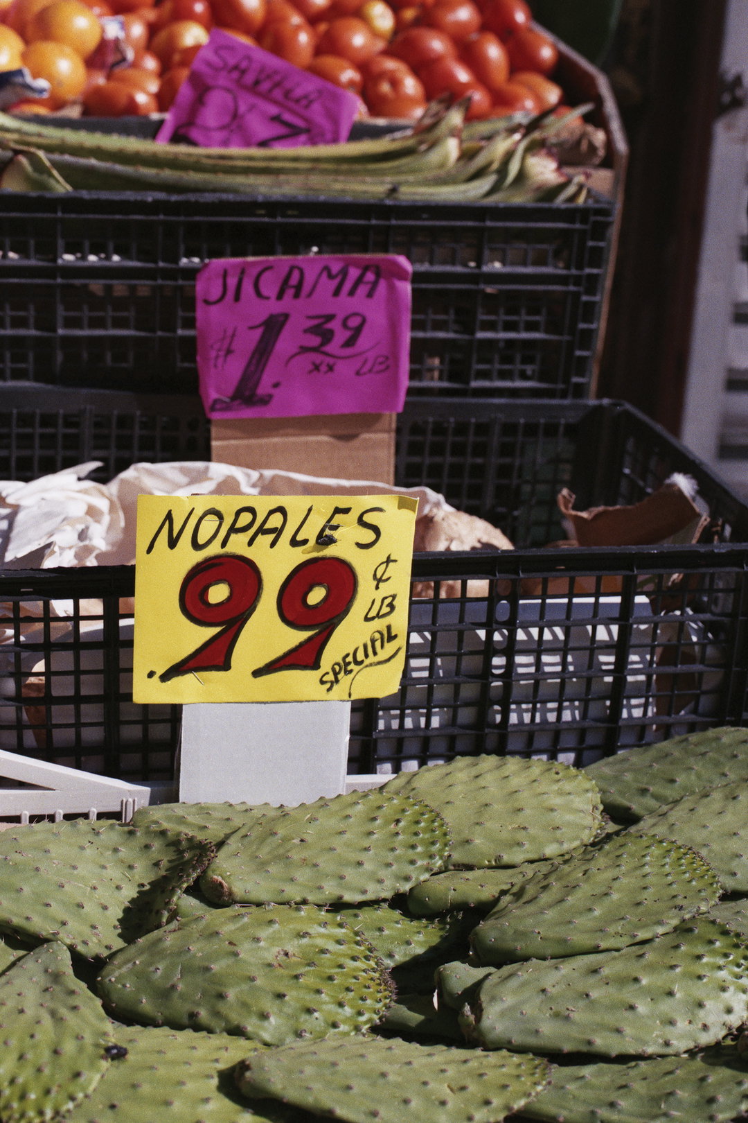 martha-naranjo-sandoval-small-death-pho-itsnicethat08