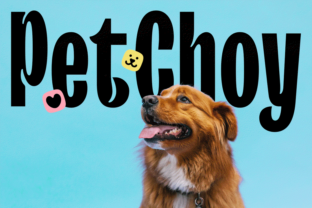 MN_PetChoy_01.gif