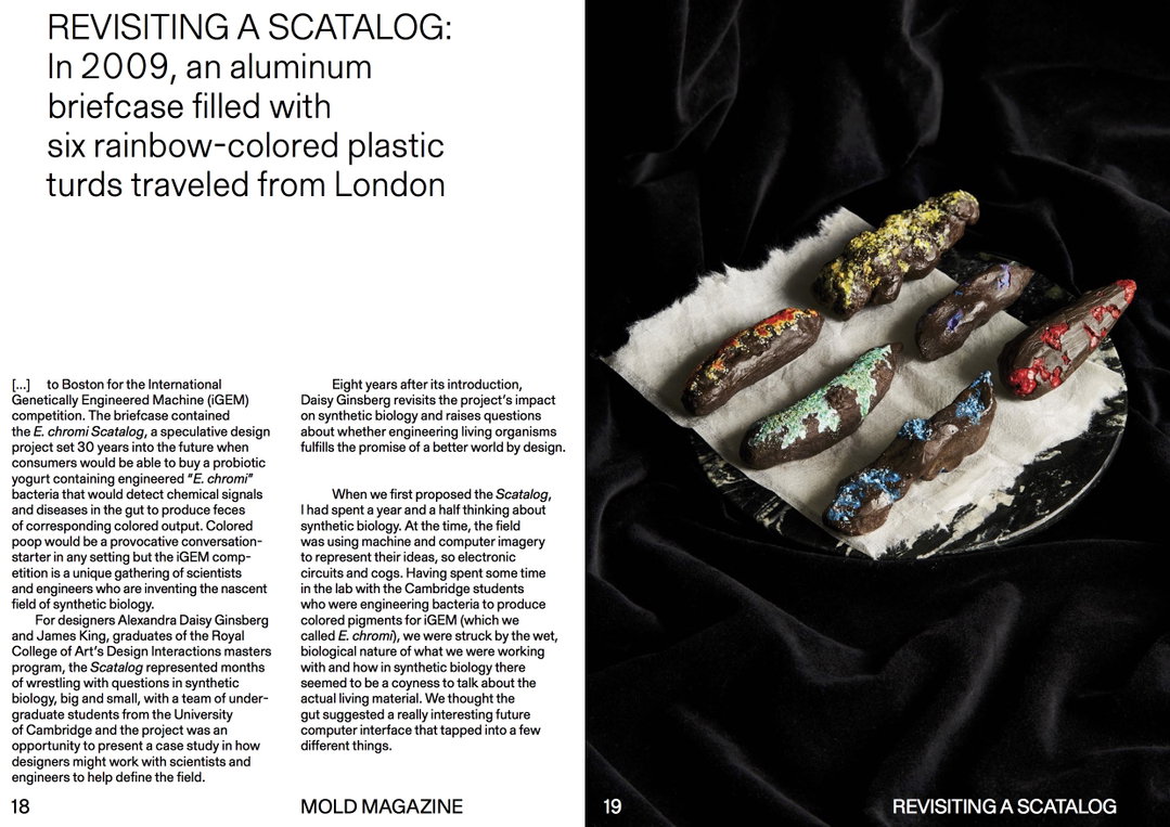 MOLD-Magazine-Issue01-scatalog-1.jpg