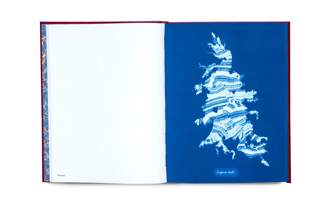 Mandy-Baker-british-algae-cyanotype-impoerfections-photography-itsnicethat-01