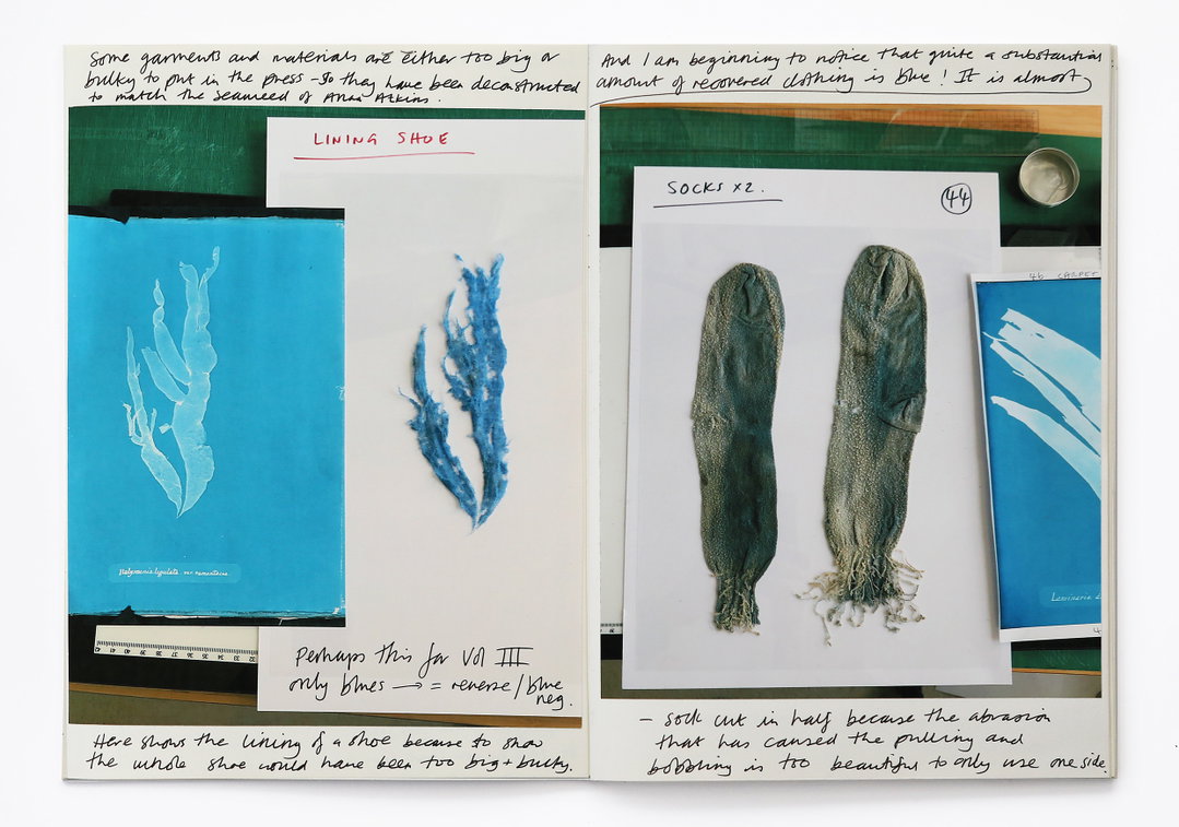 Mandy-Baker-british-algae-cyanotype-impoerfections-photography-itsnicethat-14