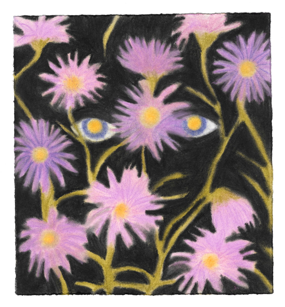 Mary_Herbert_Illustration_ItsNiceThat_6.jpeg
