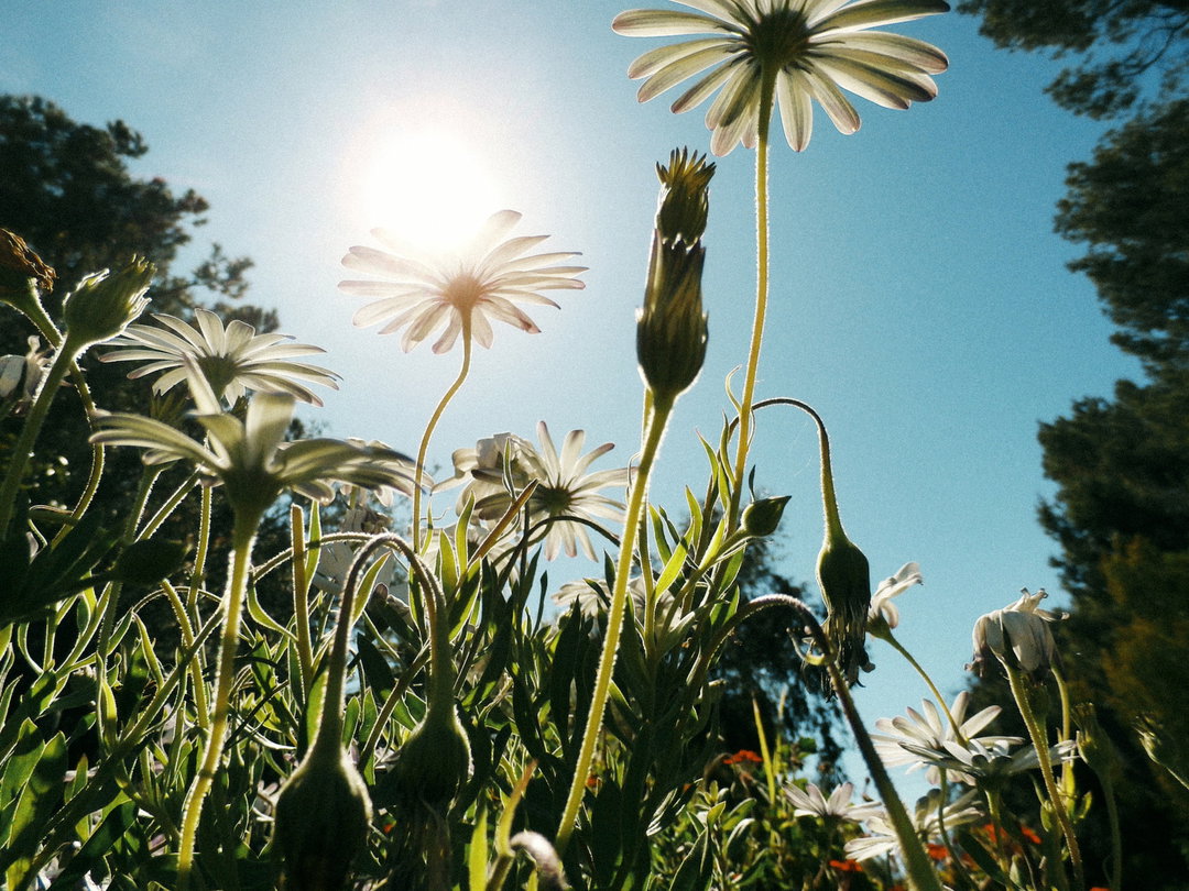 molly-matalon-digital-diary-pho-itsnicethat-02