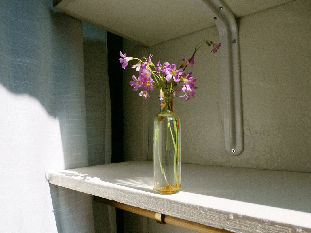 molly-matalon-digital-diary-pho-itsnicethat-03