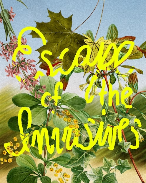 Matthew-Miller-Graphic-Design-Spotlight-itsnicethat-8.jpg