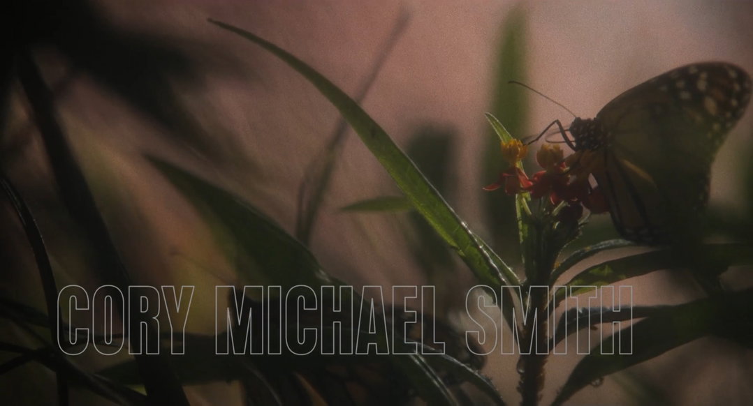 MayDecember_stills-_0005_Layer 9.jpg