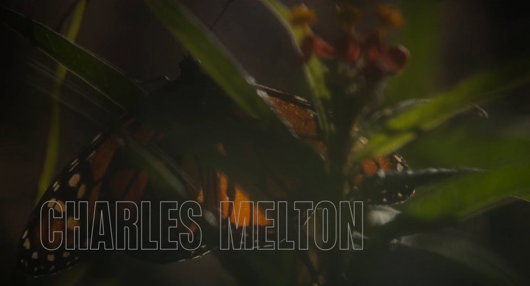MayDecember_stills-_0011_melton.jpg
