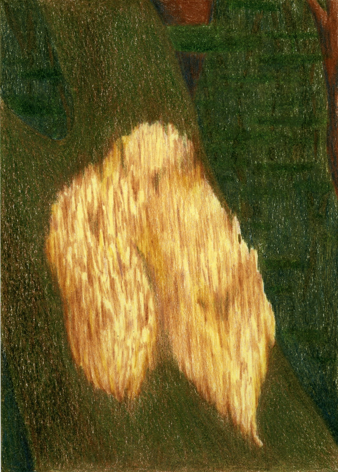 dasha-surma-art-discover-itsnicethat-03
