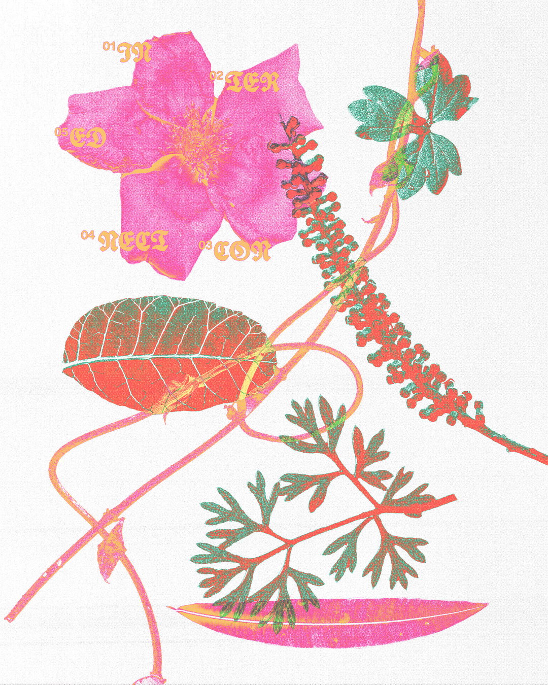 melina-k-graphic-design-discover-itsnicethat-07