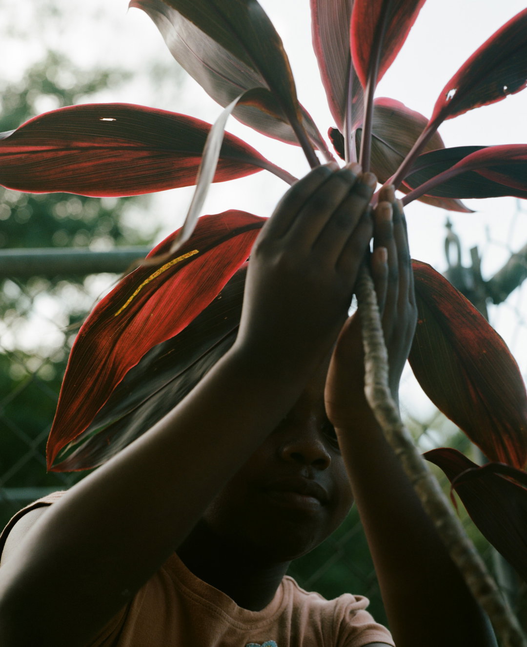 mia-vasquez-pho-itsnicethat04