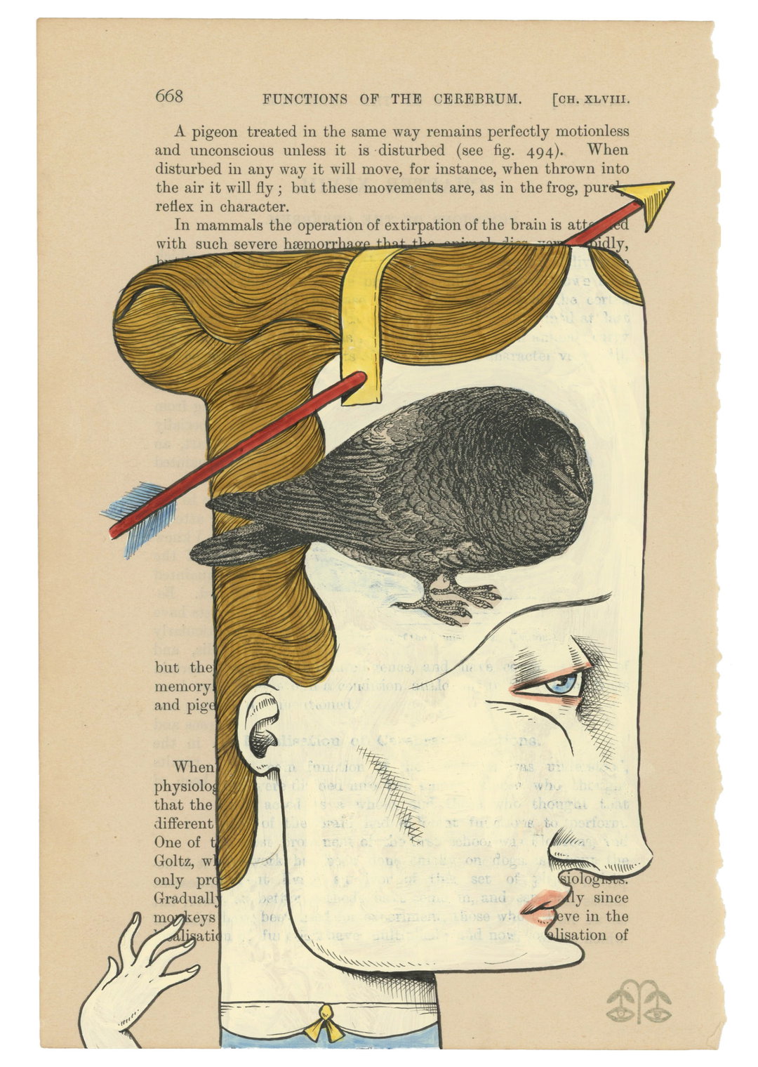 Michael Ezzell Illustrator Bird Brain.jpeg