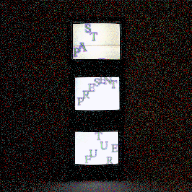 Michelle Duong 5.gif