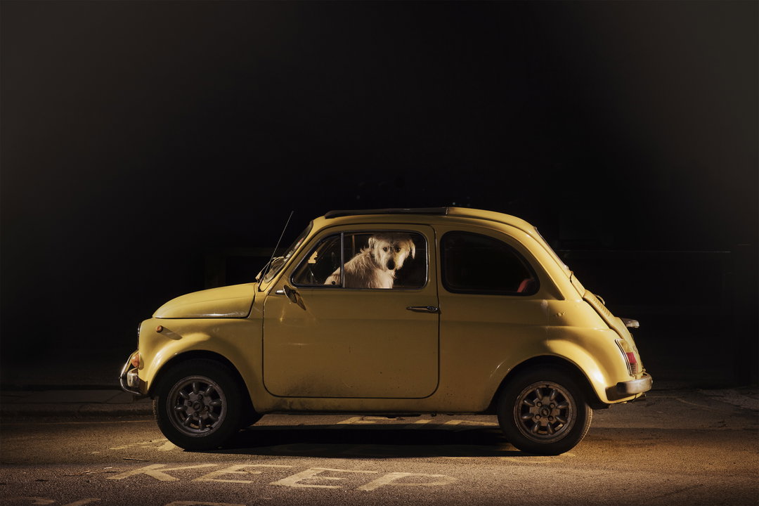 martin-usborne-the-silence-of-dogs-in-cars-photography-itsnicethat-12.jpg