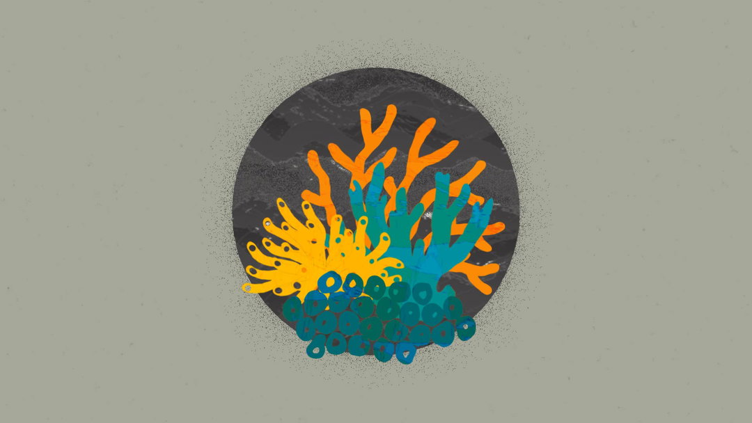 Miritte Ben Yitzchak Extinction Rebellion Extinction Emergency and Why We Must Act Now animation itsnicethat7.jpg