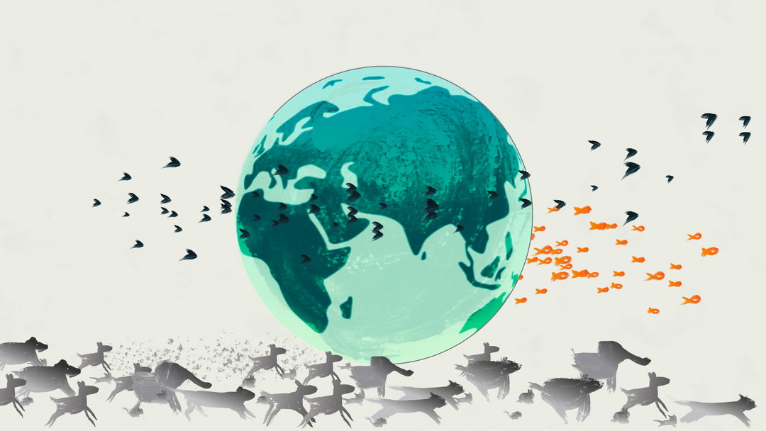 Miritte Ben Yitzchak Extinction Rebellion Extinction Emergency and Why We Must Act Now animation itsnicethat3.jpg