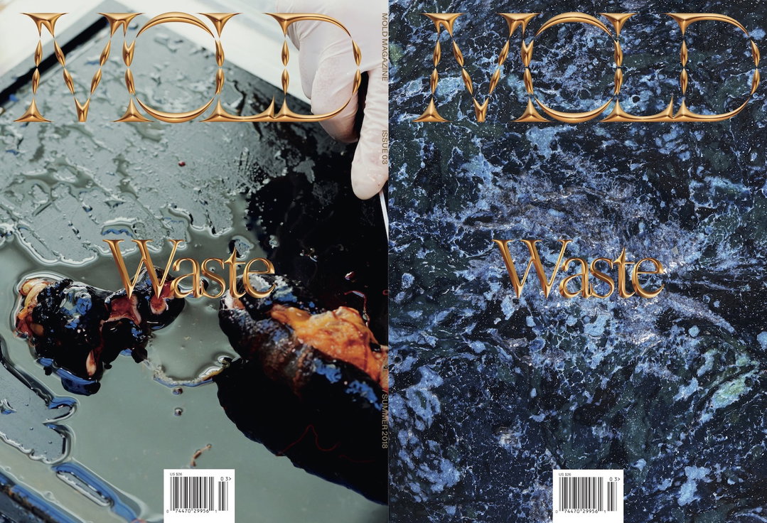Mold Magazine 3 cover-crop.jpg