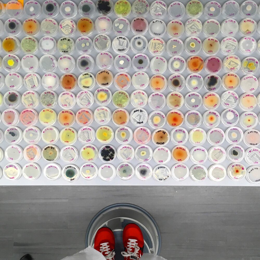 TracyDebenport-WorkBench-Photography-itsnicethat.jpg