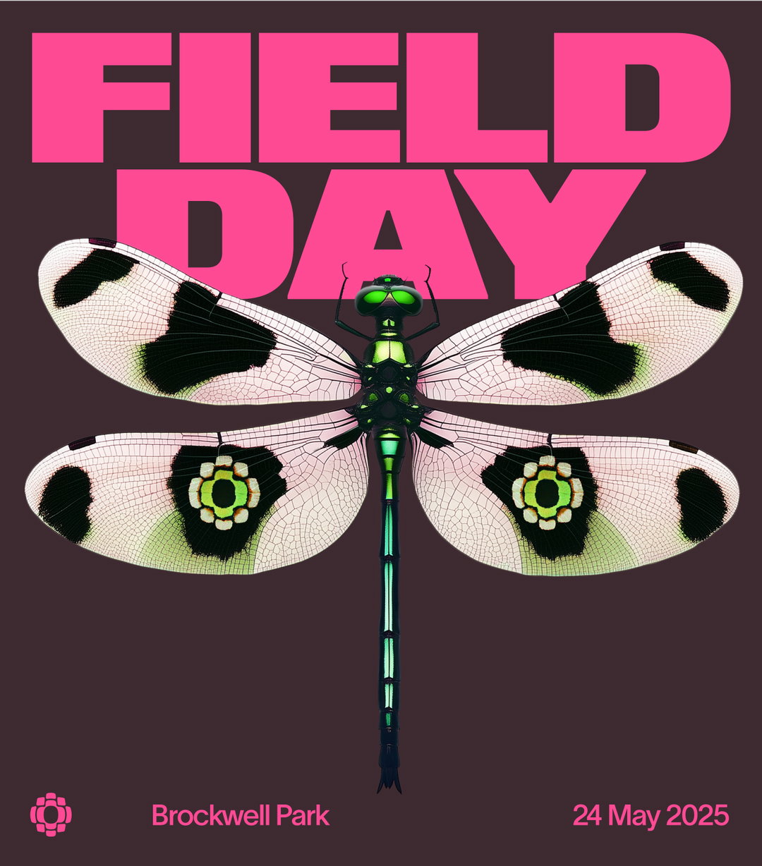 NARI-Field-Day-Graphic-Design-Project-itsnicethat-2.jpg
