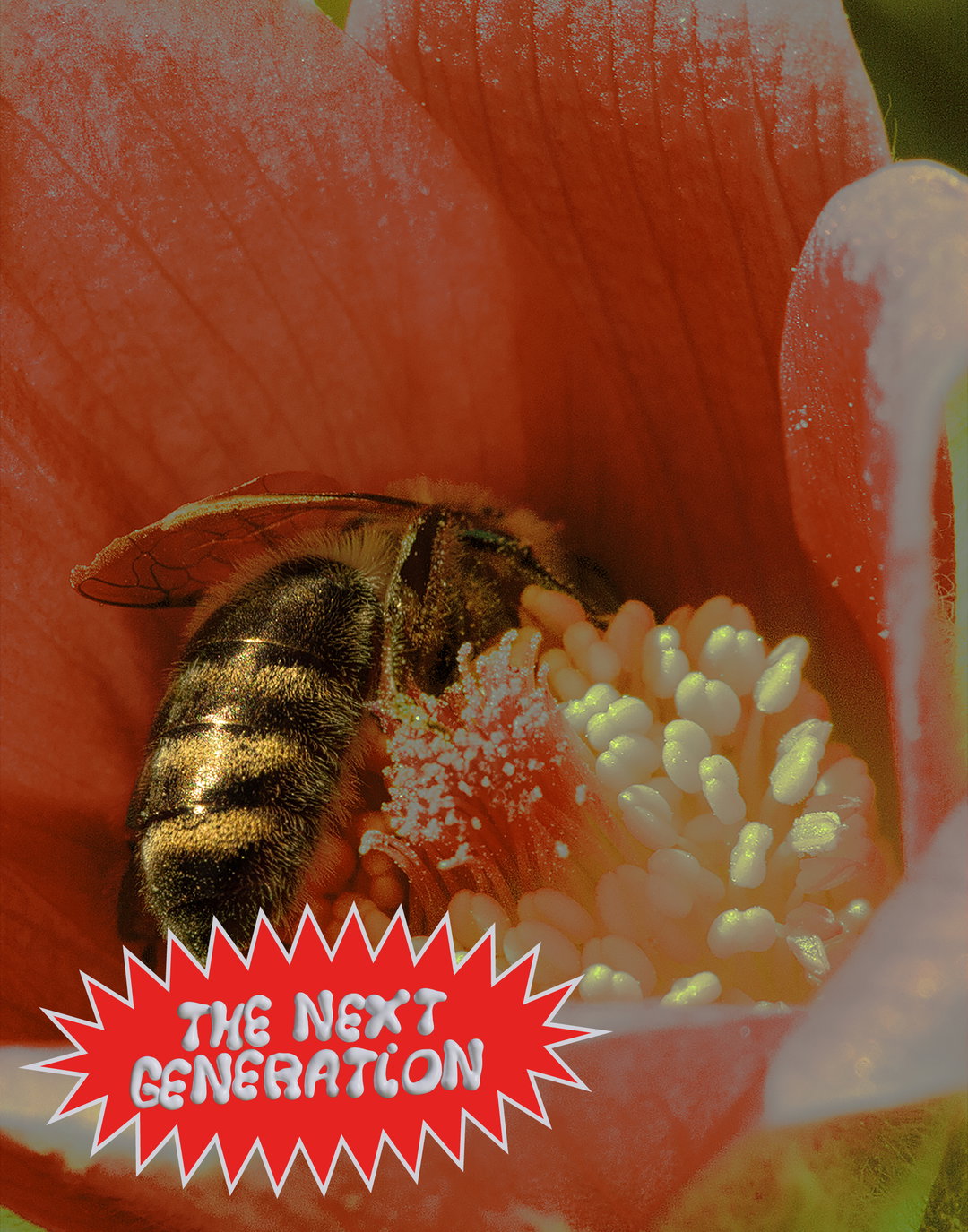 Through atmospheric and scientific photography, Maewenn Bourcelot tells the “tragic story” of the decline of pollinators