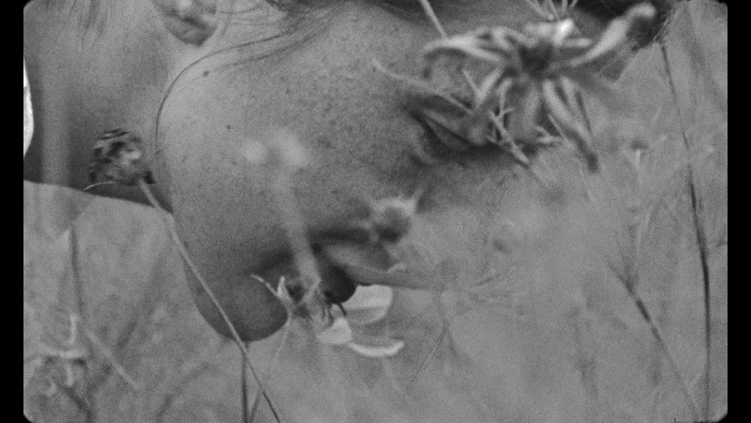 Naive-Chocolate-Film-ItsNiceThat-1.jpg
