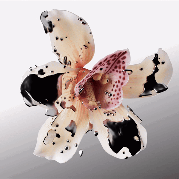 weareseventeen-OPNfestival-motiondesign-itsnicethat-18