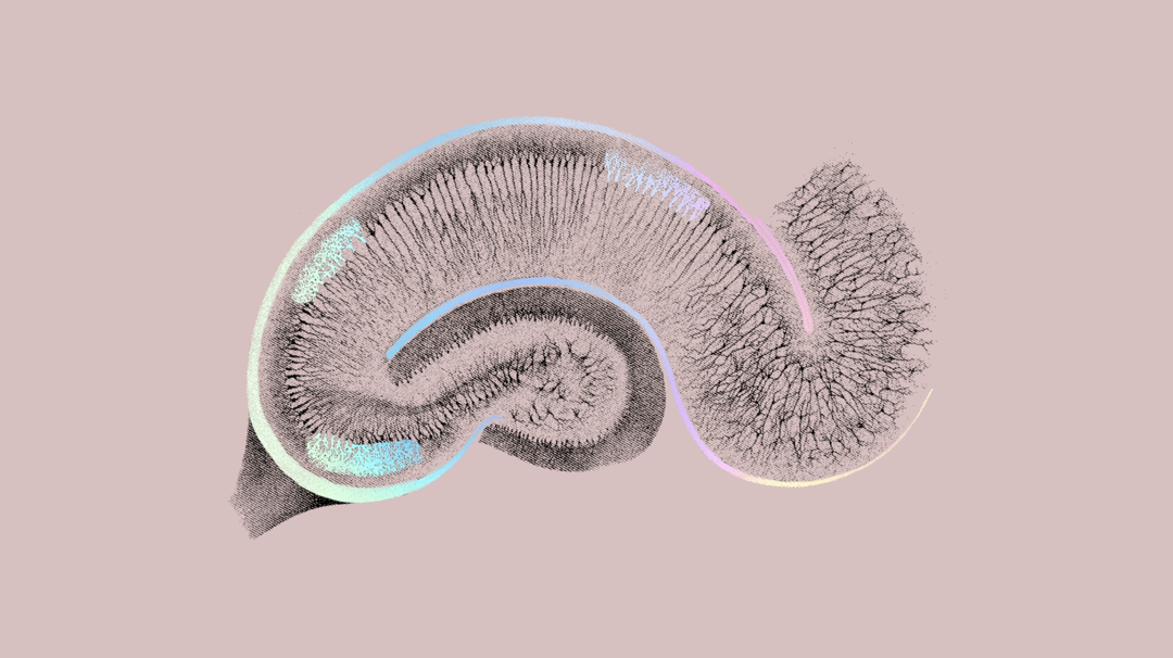 Play-Neuralink-GraphicDesign-itsnicethat.png