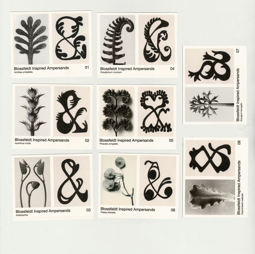 NicerTuesday-August-recapfeature-10-itsnicethat.jpg