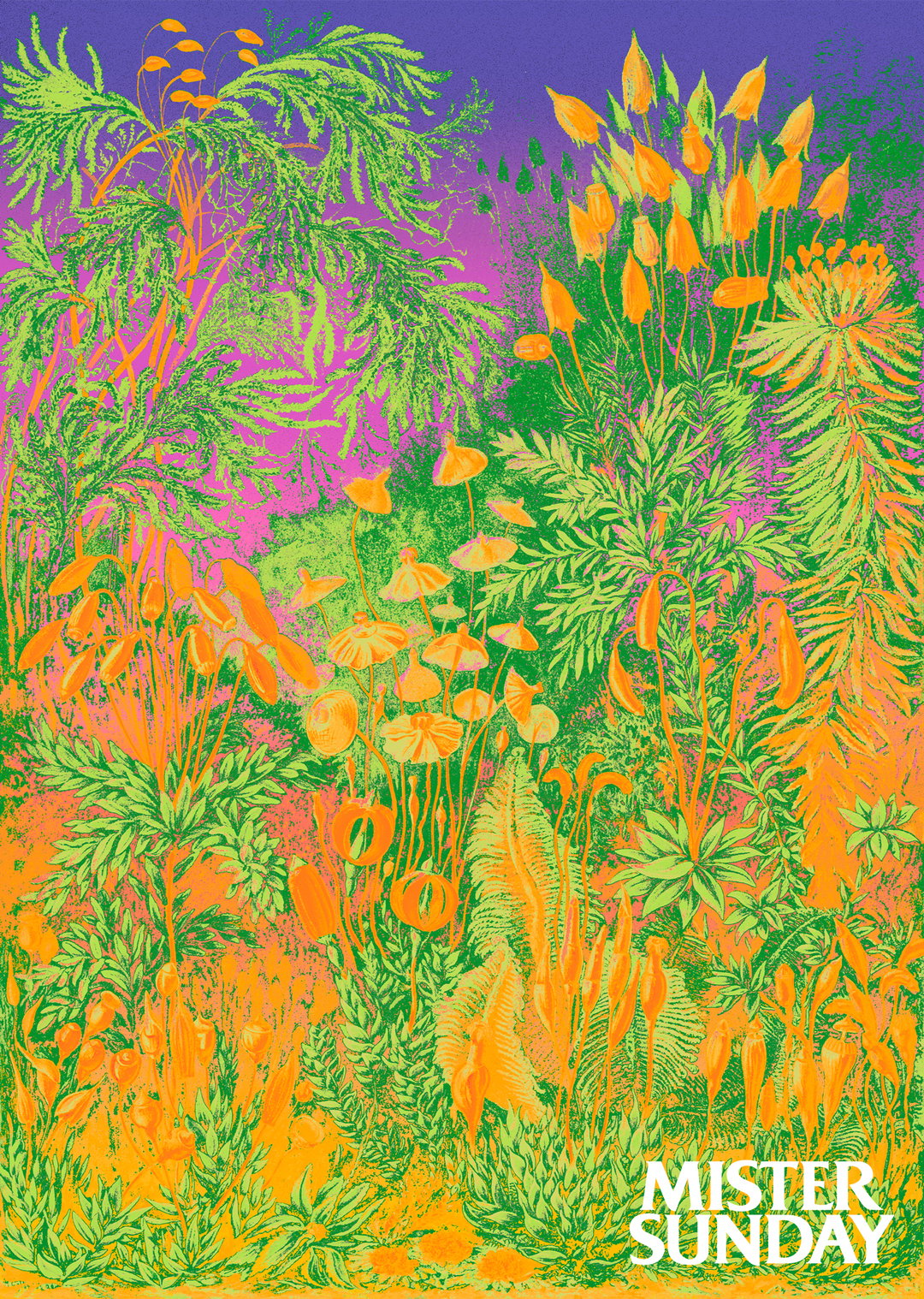 Noah-Baker-Graphic-Design-Project-itsnicethat6.jpg