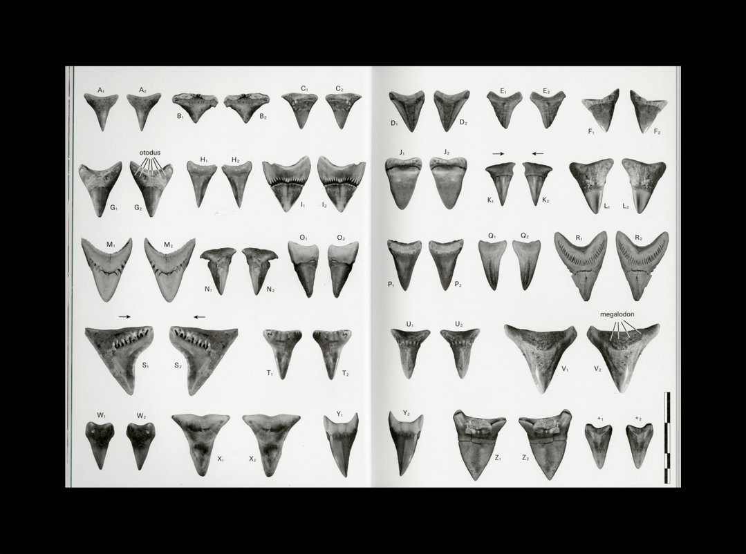 OR3_SCANS22.jpg