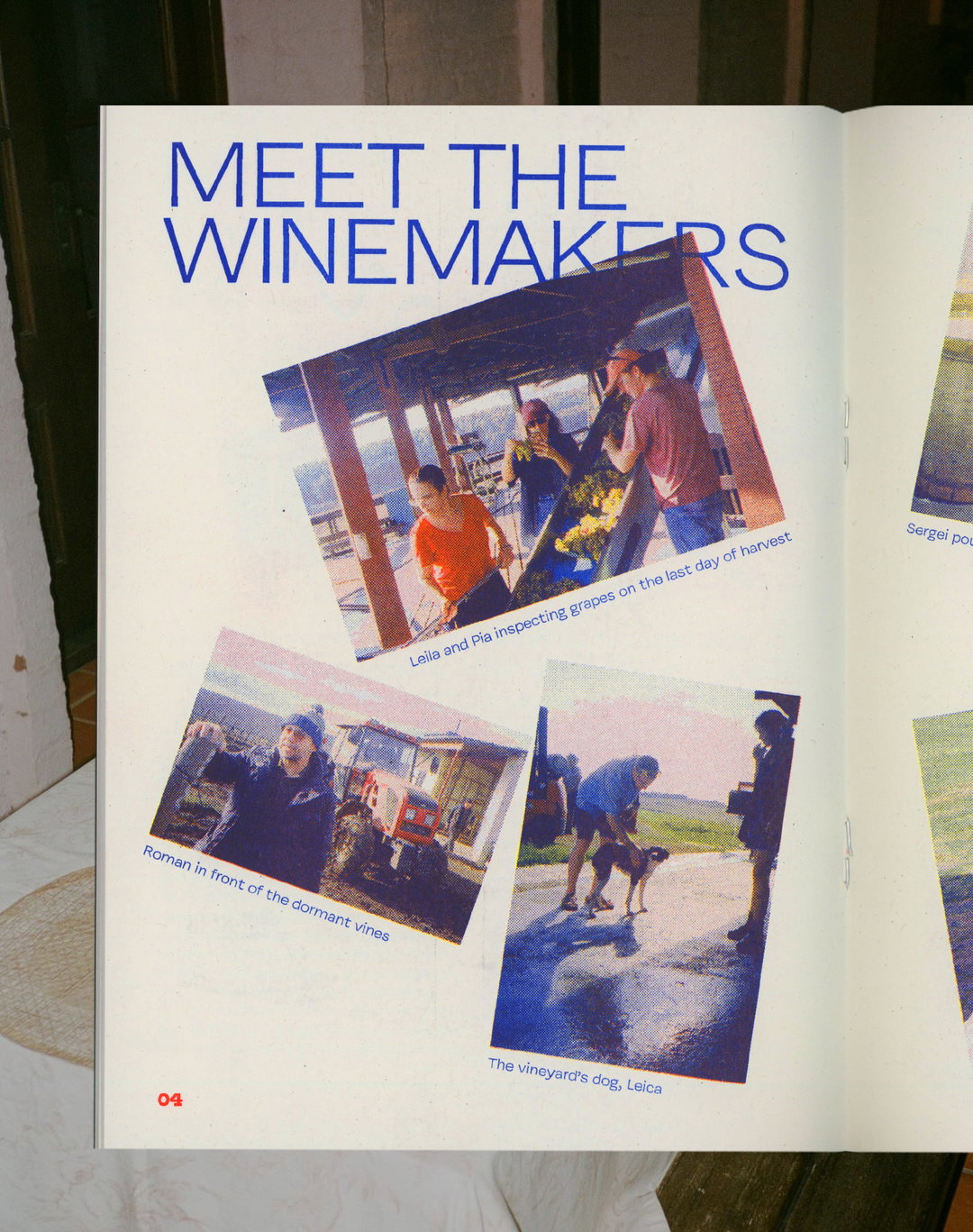 cash-and-carry-other-wines-gd-itsnicethat-09