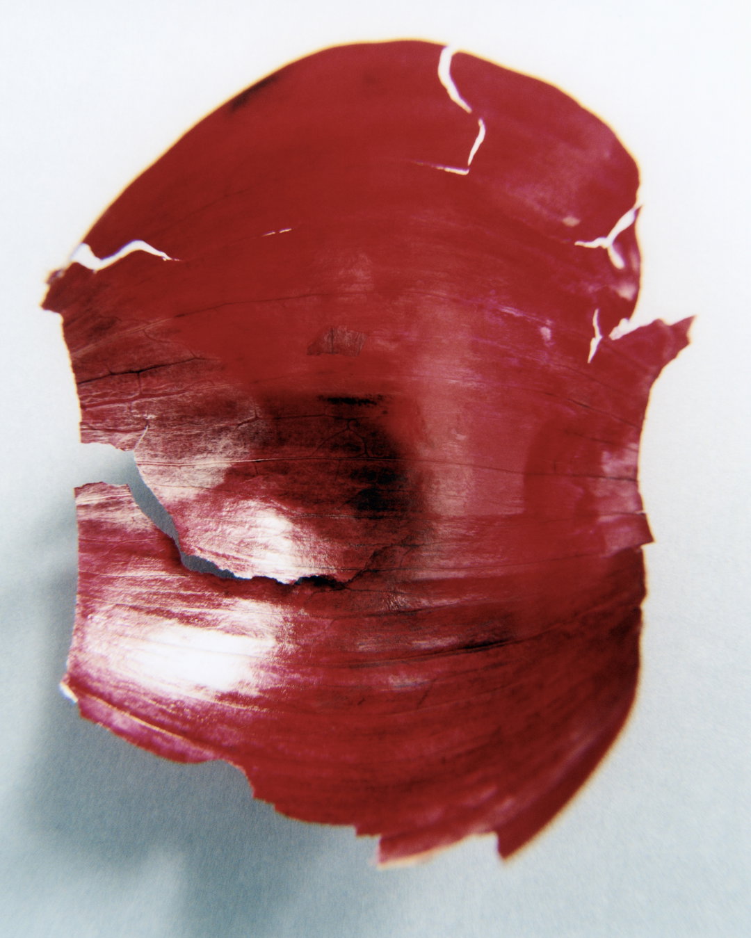 Salina-studio-anna-sophia-john-obsolete-publication-project-itsnicethat-03
