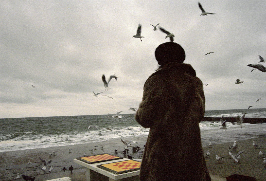 yelena-yemchuck-pho-itsnicethat03