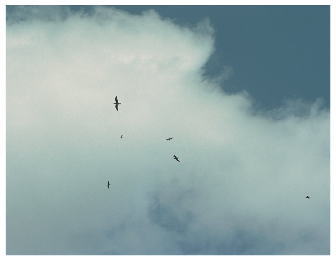 OsamuYokonami-Kumo-Photography-itsnicethat.jpg